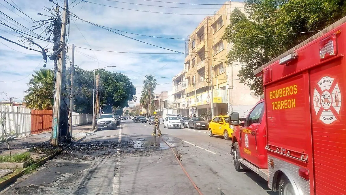 Palmera incendio